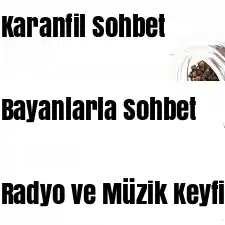 karanfil sohbet
