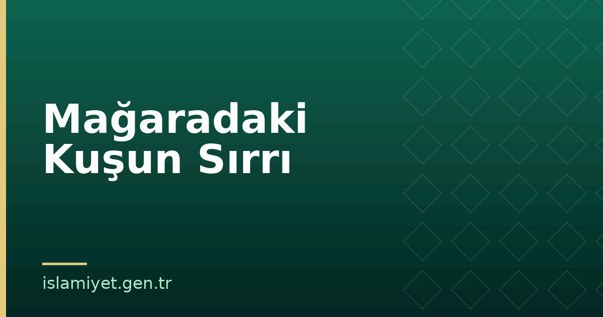 Mağaradaki Kuşun Sırrı | İslamiyet.gen.tr