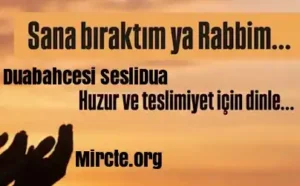 seslidua