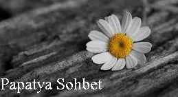 Papatya sohbet Odası