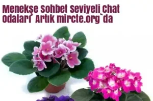 Menekşe Sohbet