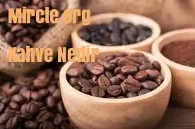 Kahve Nedir