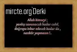 Hamallık Eden Zihinler