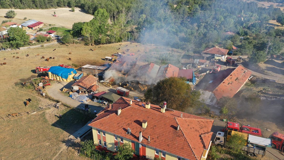 Kastamonu'da ahır yangını: 14 hayvan telef oldu