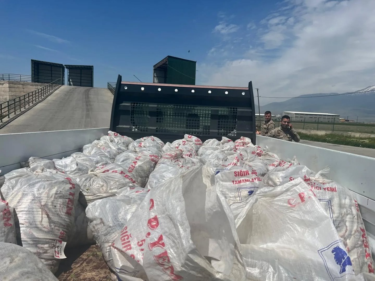Ağrı'da Van'dan Doğubayazıt'a kaçak getirilen 2 ton inci kefali ele geçirildi