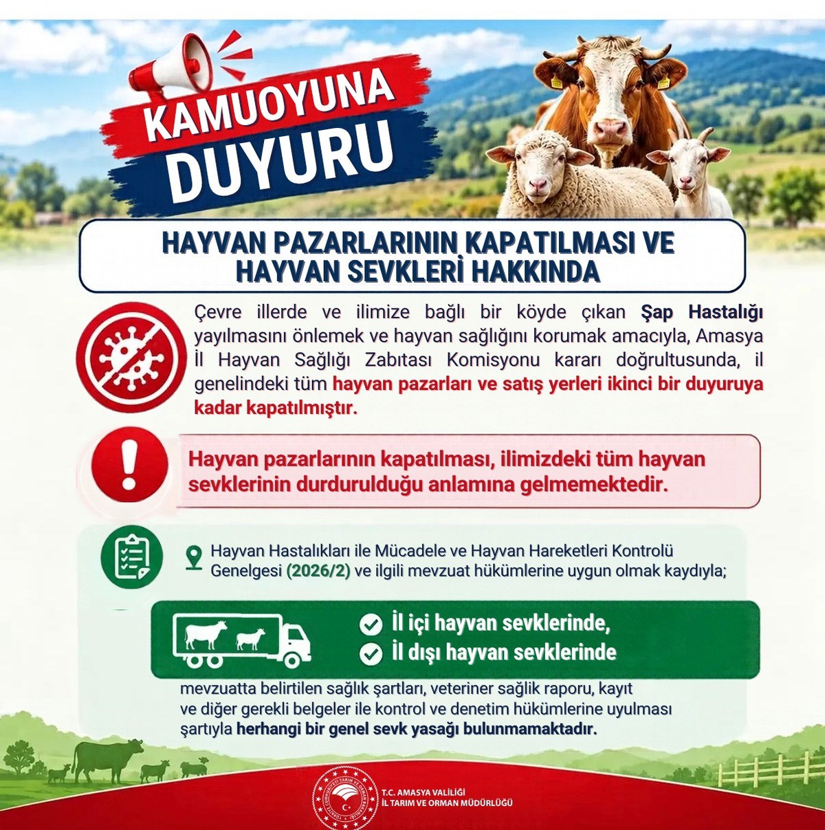 Amasya'da şap hastalığı nedeniyle hayvan pazarları ikinci duyuruya kadar kapatıldı