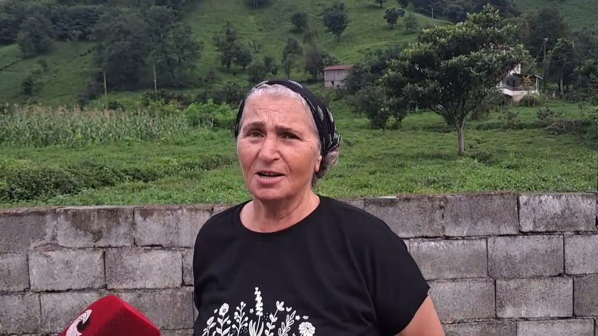Artvin Kemalpaşa'da çay üreticileri işçilik, gübre ve ÇAYKUR kotasından yakındı