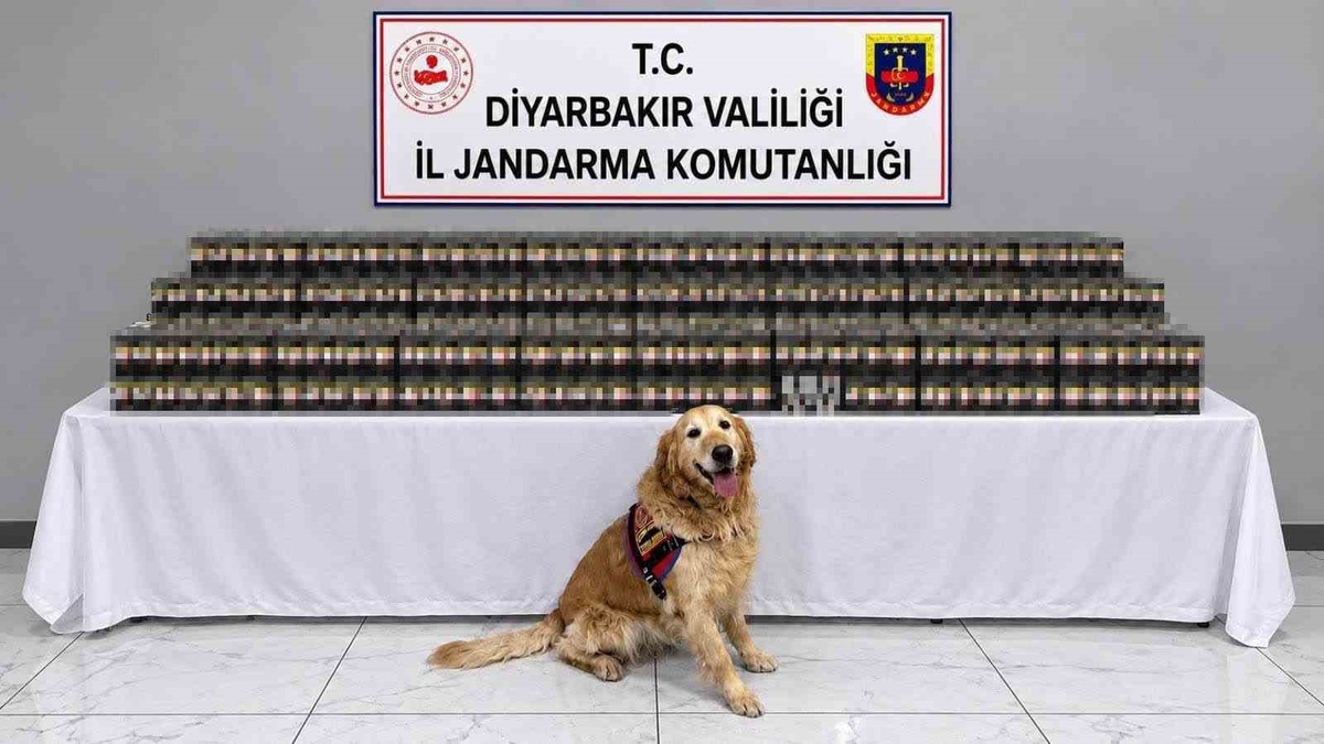 Diyarbakır'da jandarma operasyonlarında 10 bin 895 paket kaçak sigara ele geçirildi